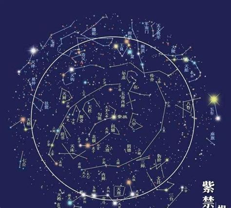 紫微天相命宮|天相星坐守命宫的分析 – 紫微麥 